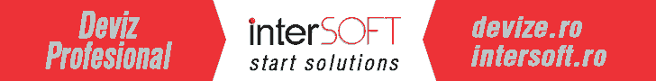 InterSoft-Deviz profesional 2015